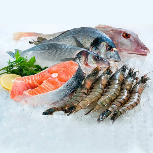 Image hover effect image